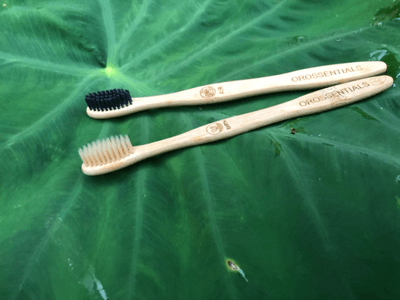 Benefits of Using Wooden Toothbrushes for Dental Care | Orossentials