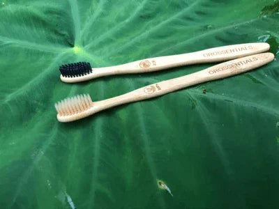 Benefits of Using Wooden Toothbrushes for Dental Care | Orossentials