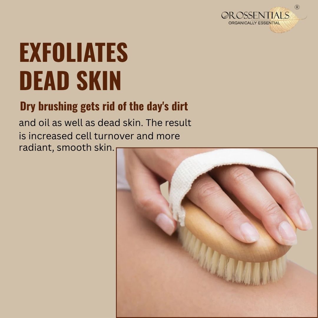 OROSSENTIALS Wooden Dry Body Brush - Premium (ORO-23)