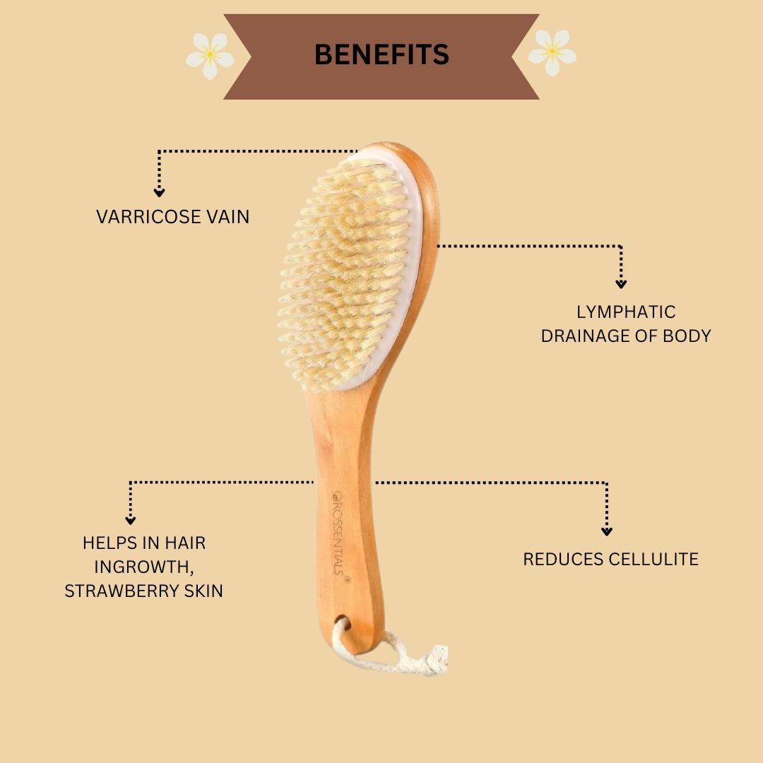 Wooden Dry Body Brush With Handle (ORO-022)