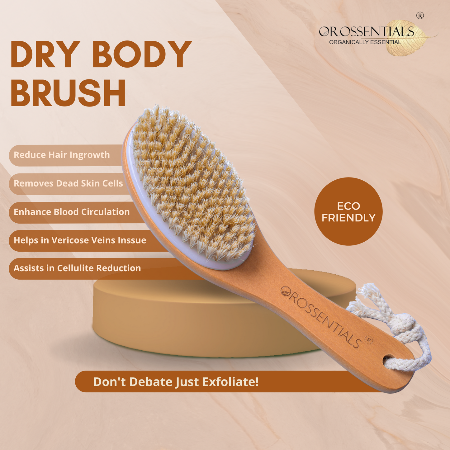 Hair brush & Body brush- Combo